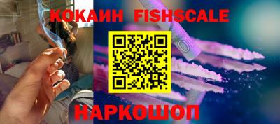 крисы Дубна