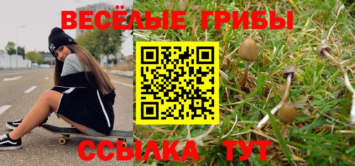 Псилоцибиновые грибы Psilocybine cubensis Трёхгорный