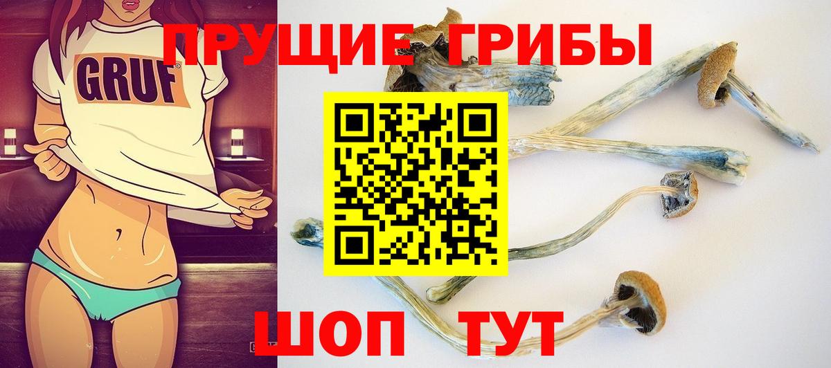 Галлюциногенные грибы GOLDEN TEACHER  Вход с VPN  Трёхгорный 